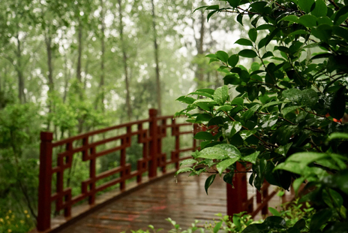 Ditët impresionuese në Hefei