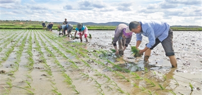 聯合國糧農組織—中國南南合作計劃成立10週年取得實質性成果 “加強合作 把中國減貧經驗傳播到世界各地”