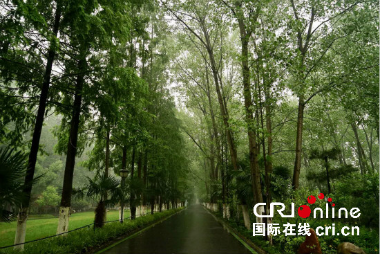 图片默认标题_fororder_3_meitu_3