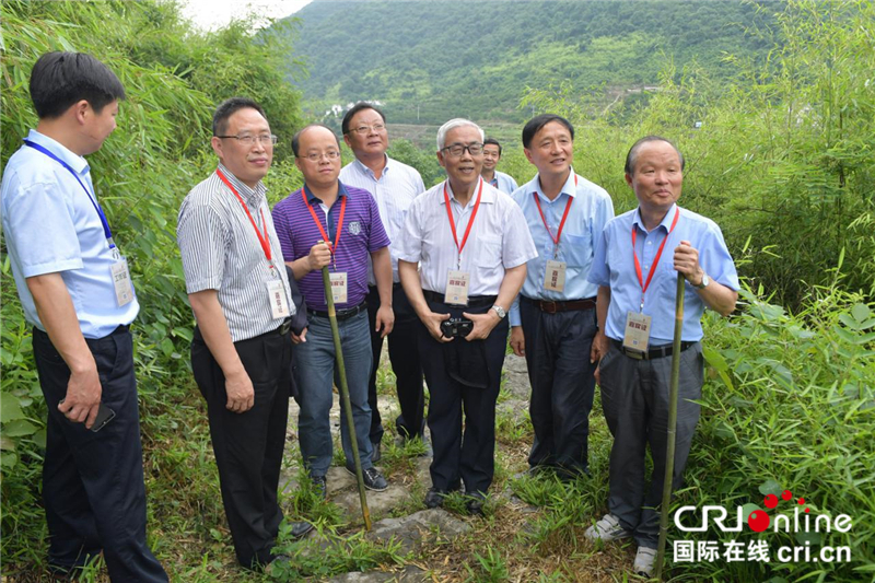 “线路与文化”第三届宜红古茶道学术研讨会在宜都开幕