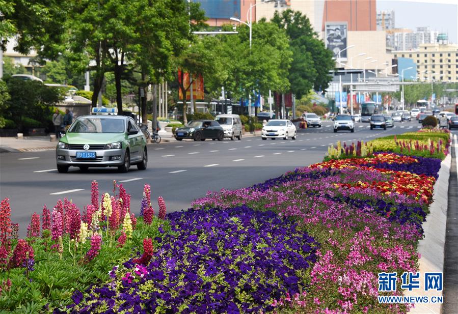 青岛：繁花似锦迎盛会