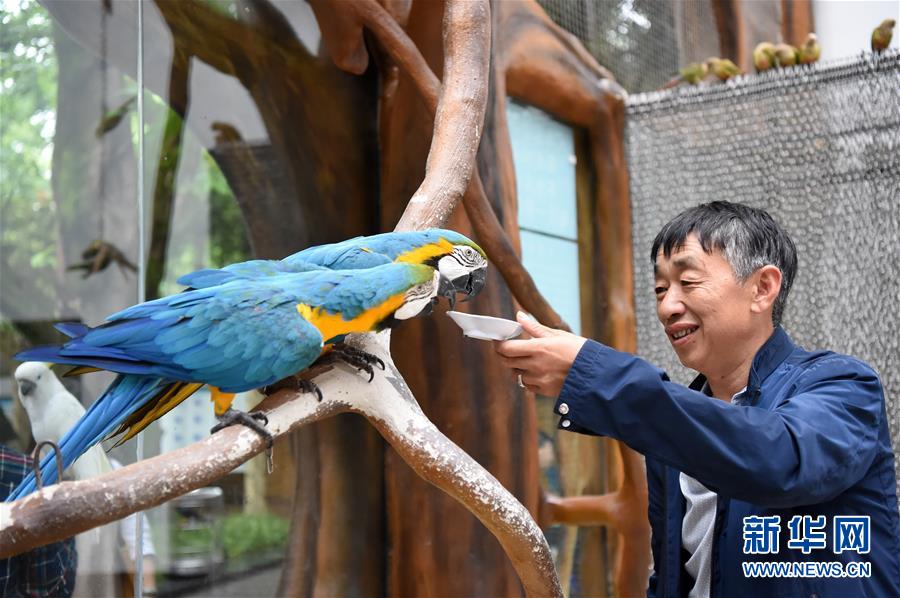 重庆动物园鹦鹉苑开园 人鸟亲密接触
