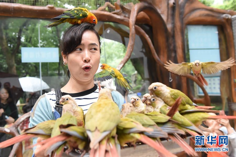 重庆动物园鹦鹉苑开园 人鸟亲密接触