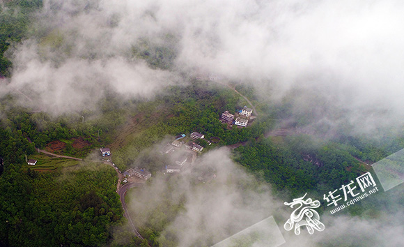 【渝情渝景】这样的重庆乡村之美 值得你打卡