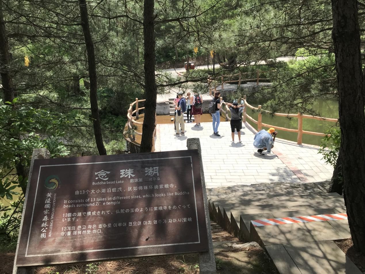 【三秦大地 延安+国际范 摘要和显示图在稿件最下方】留学生沉醉陕北绿洲好风光