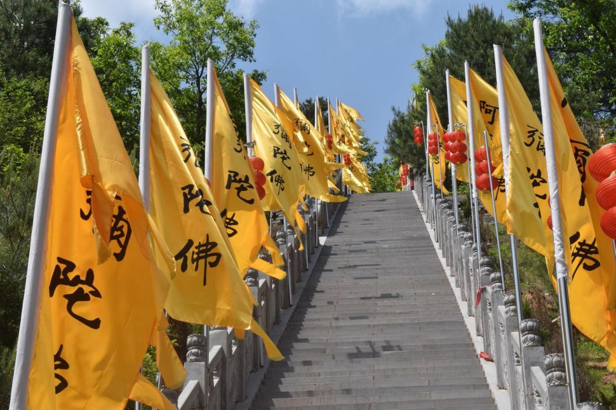 【三秦大地 延安+国际范 摘要和显示图在稿件最下方】留学生沉醉陕北绿洲好风光