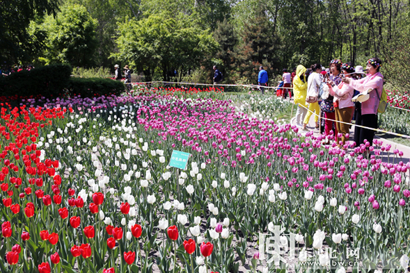 哈尔滨市现有公园42个近九成免费开放