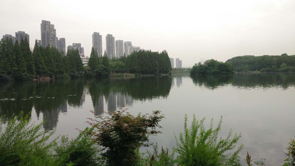 Dong Hu – Das grüne Herz von Wuhan