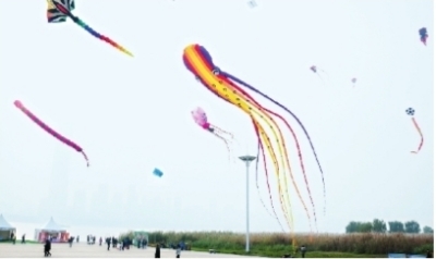 【城市远洋图片】世界最长软体风筝亮相风筝节
