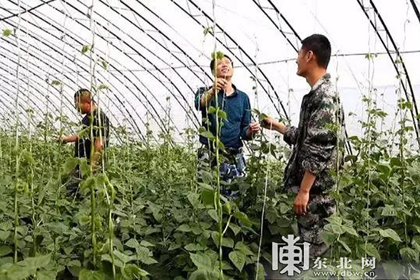 绥化绥棱重点国有林管理局推进职工就业创业