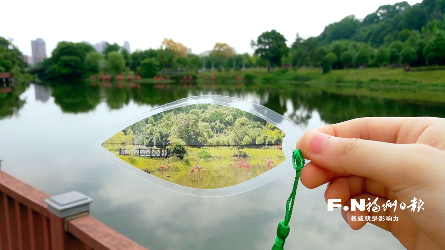 影印在手工制作的叶脉书签上,用独特的方式记录校园美景,送上毕业祝