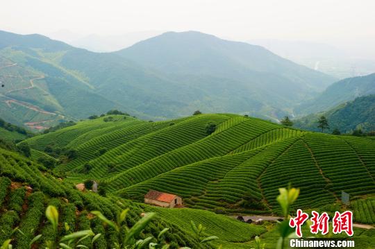 图片默认标题_fororder_83449390