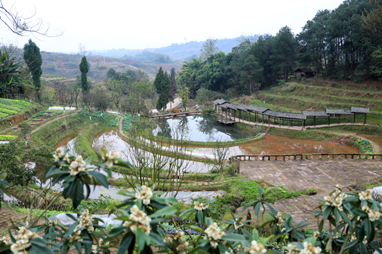 【CRI專稿 列表】【遇見渝水·嘉陵江】推動農旅融合發展 重慶渝北打造鄉村振興新名片