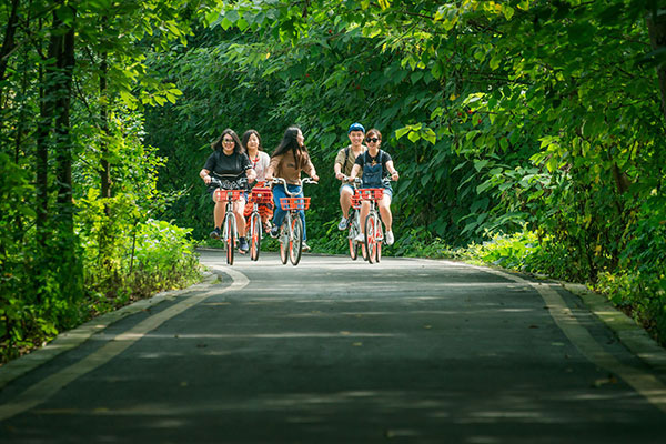 图片默认标题_fororder_hggg