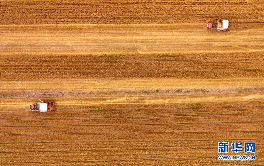 圖片默認標題 圖片默認標題_fororder_222