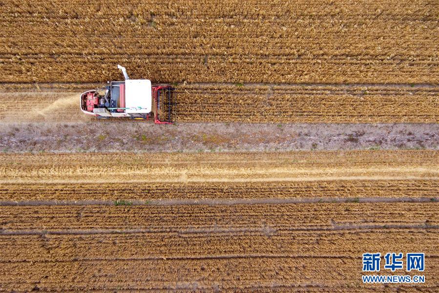 圖片默認標題 圖片默認標題_fororder_333