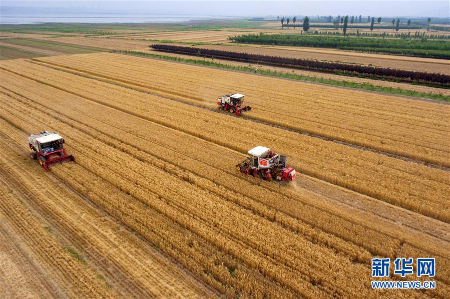 圖片默認標題 圖片默認標題_fororder_555