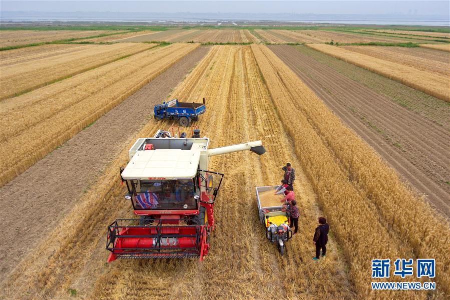 圖片默認標題 圖片默認標題_fororder_666