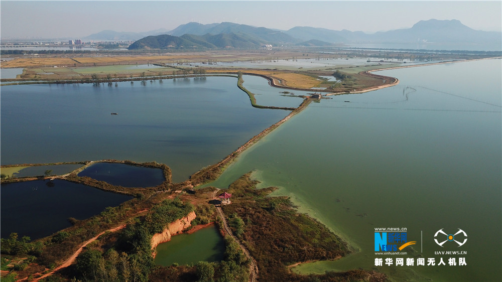 航拍湖北網湖濕地省級自然保護區