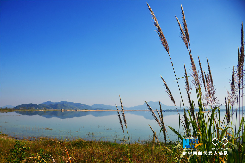 航拍湖北网湖湿地省级自然保护区