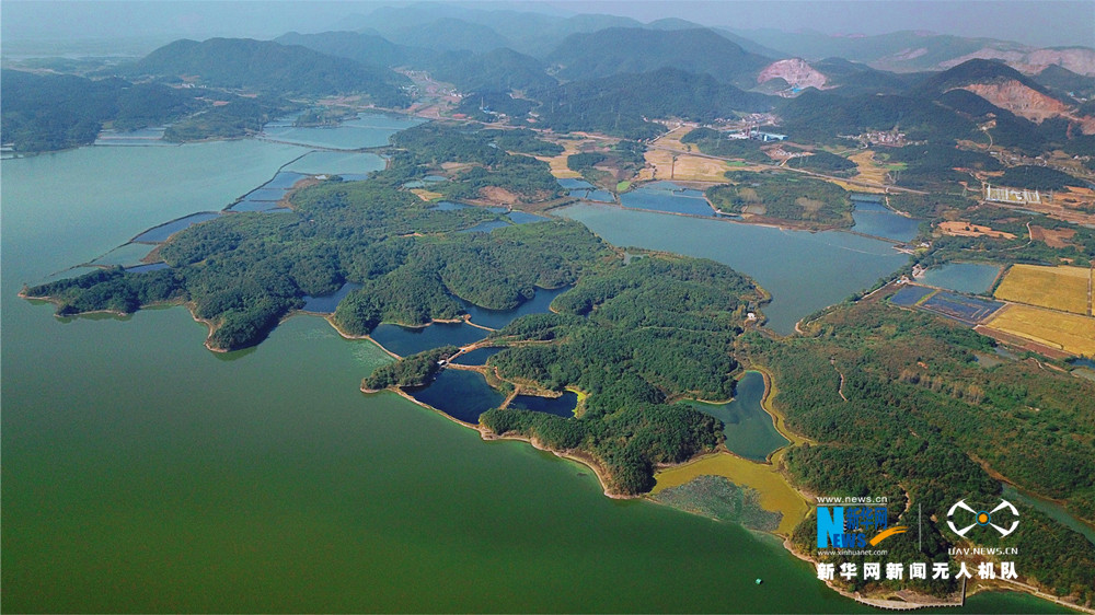 航拍湖北網湖濕地省級自然保護區