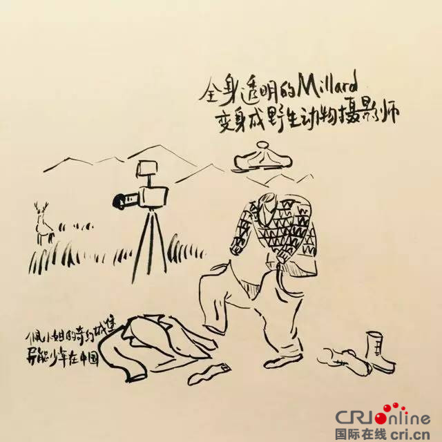 佩小姐的奇幻城堡