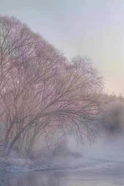 伊春庫爾濱的霧凇美如仙境