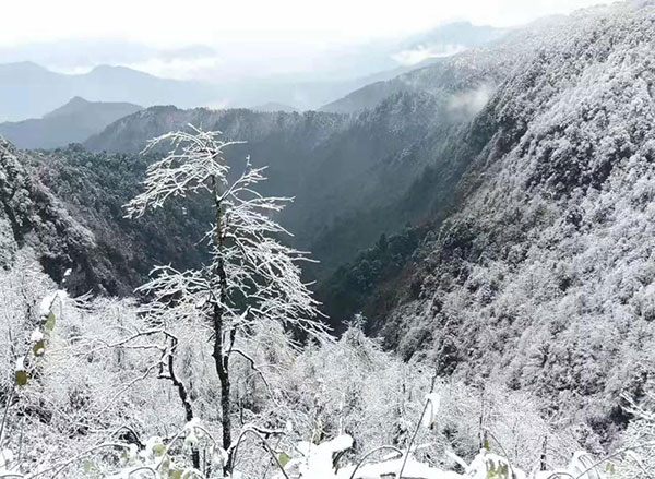 洪雅瓦屋山景區將於12月20日舉行冰雪嘉年華活動