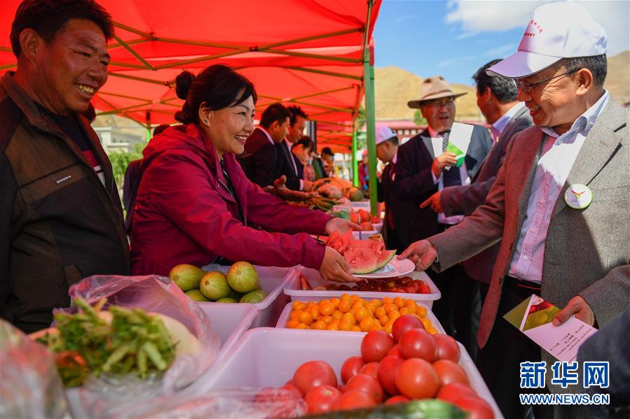 西藏白朗“田园超市”迎来采摘季