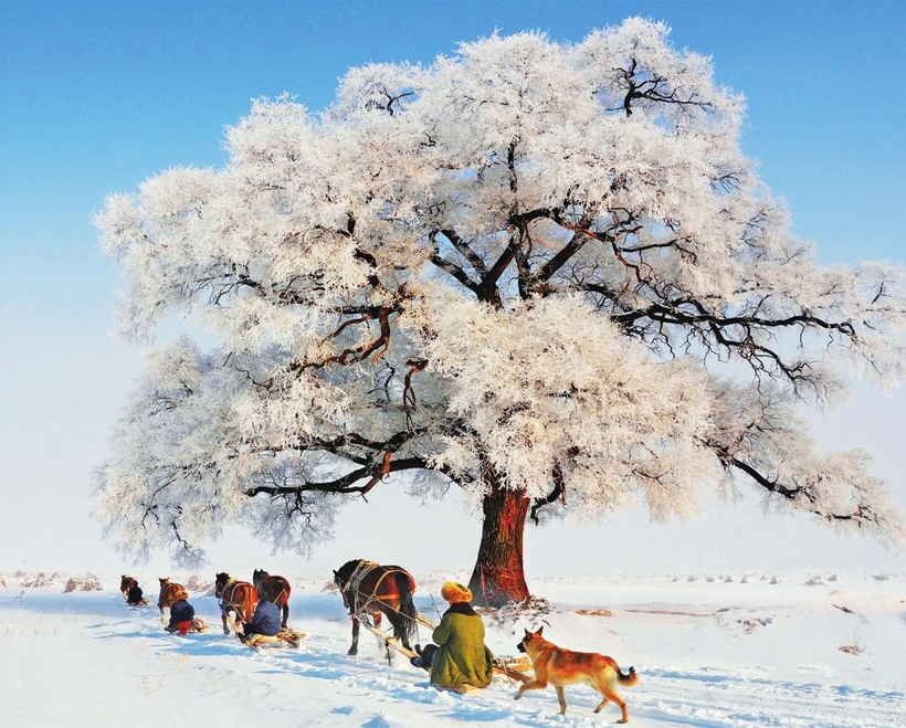 行走“霧凇之都” 遇見“滑雪天堂”——暢遊吉林市浪漫之冬