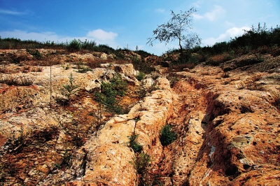 图片默认标题_fororder_3