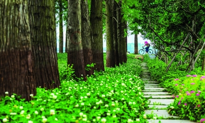 “花海寻美”东湖春季摄影大赛评选揭晓 在他们的镜头里，东湖这里最美