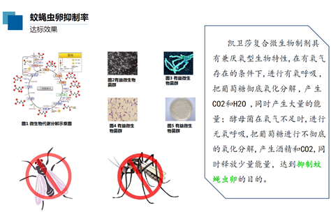 凯卫莎带您深度解析垃圾中转站垃圾除臭技术