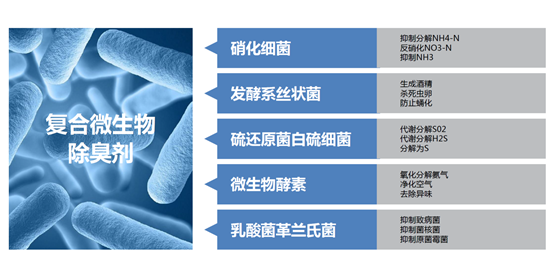 凯卫莎带您深度解析垃圾中转站垃圾除臭技术