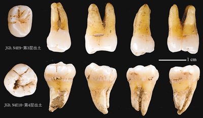 秦岭地区首次发现 3万年前人类化石