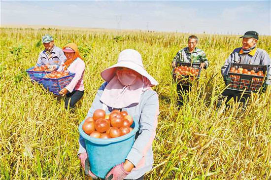 图片默认标题_fororder_2019-12-06-005-248836-2