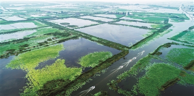 （頭條）淮安金湖：從“旅遊洼地”到“水美天堂”