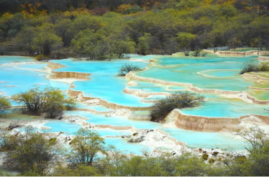 「新店开业」南京胜太西路亚朵酒店邀你来逛民国古董铺子