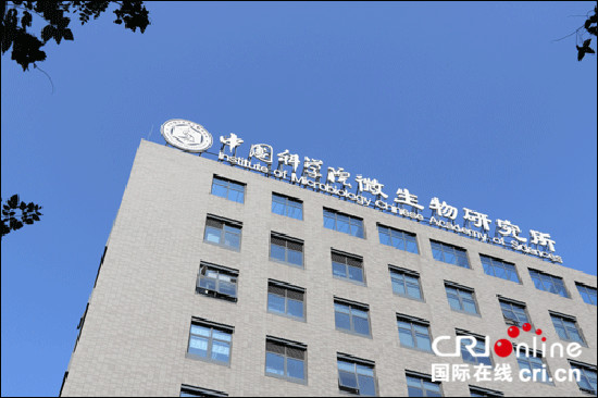 图片默认标题