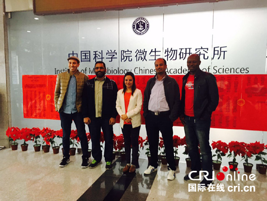 图片默认标题