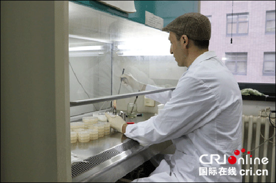 图片默认标题
