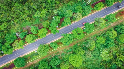 【瓊島先鋒圖文列表】【即時快訊】在海南最美的旅遊公路上看風景