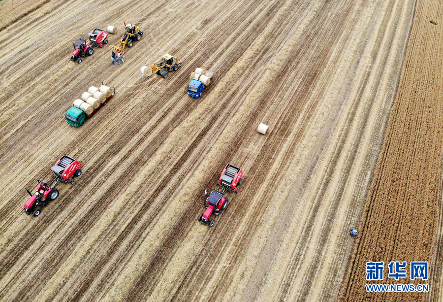 航拍安徽：麦收机械展神奇 收割打捆两相宜