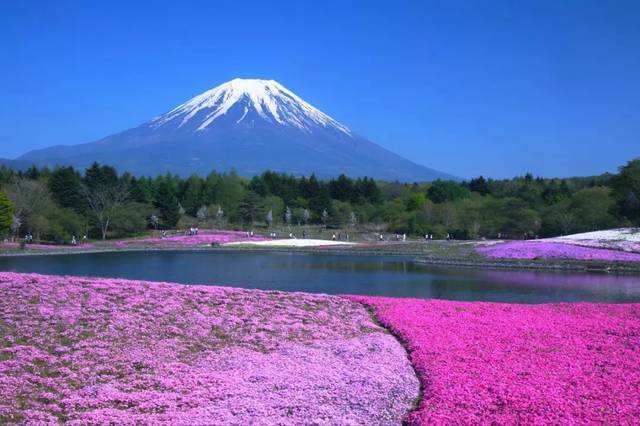 图片默认标题_fororder_64