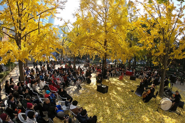 以音乐之名，与魔都最美季节来一场“银杏之约”