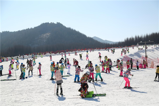 【湖北】【神農架林區宣傳部客戶】神農架滑雪季開啟 2天吸引萬名“滑友”雪中馳騁