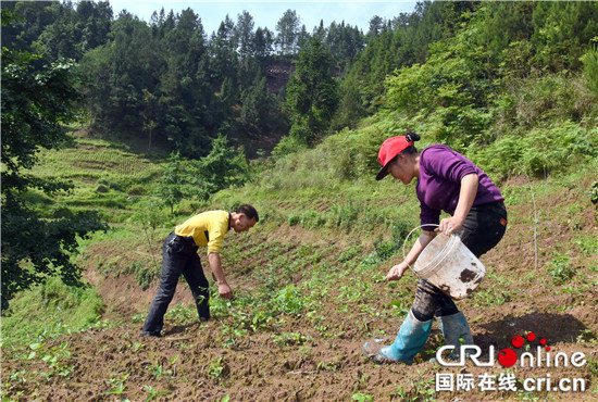 【重慶會客廳】殘疾人夫妻陳益生、曹茂芳：烈火煉就的夫妻檔【內容頁標題】石柱中益鄉殘疾人夫妻陳益生曹茂芳：烈火煉就的夫妻檔