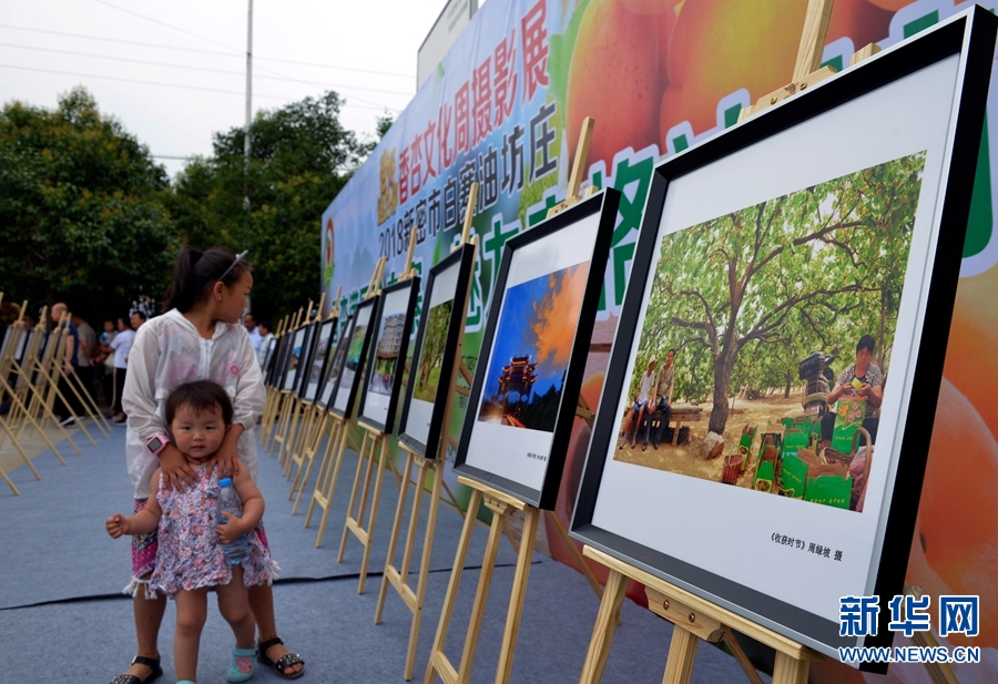 河南新密：香杏文化周攝影展舉行