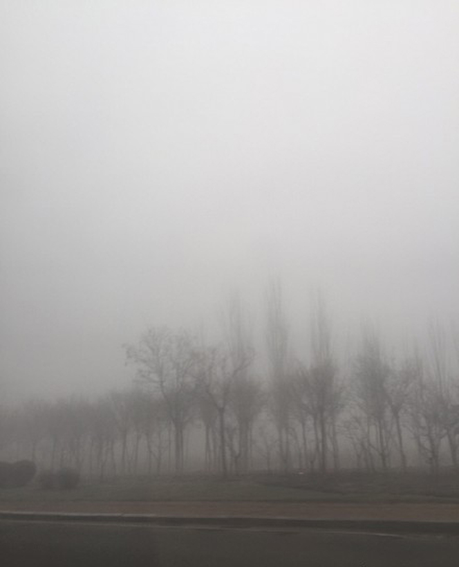 天津雾霾与浓雾叠加 能见度极低
