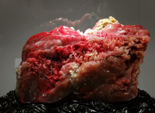 第十五届四大国石展吸引十余万人参观 琴音散去 其韵不绝